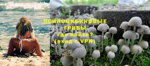 каннабис Михайловка