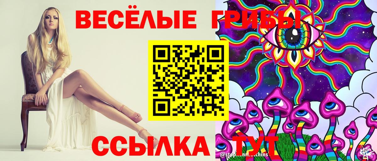 Псилоцибиновые грибы GOLDEN TEACHER  Волгоград 