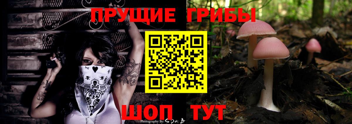 Галлюциногенные грибы GOLDEN TEACHER Волгоград