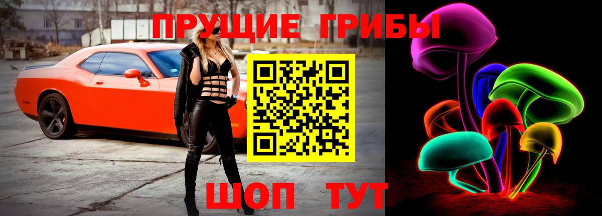 Псилоцибиновые грибы Cubensis  Вход с VPN  Волгоград  Галлюциногенные грибы GOLDEN TEACHER 