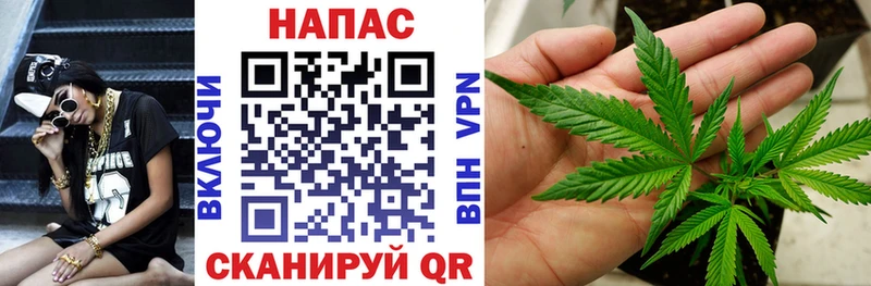 где можно купить наркотик блэк спрут вход Бошки Шишки сатива Волгоград
